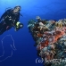 wreck_numidia_bro_b_ni_h_0352_egy0827.jpg